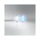 BULB NEOLUX 12V 10W SV8,5-8